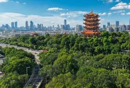 昨天的足球比分总比分-回溯绿茵风云，昨天的足球比分总比分背后的故事